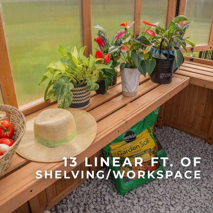 9×6 Willow Greenhouse image 15