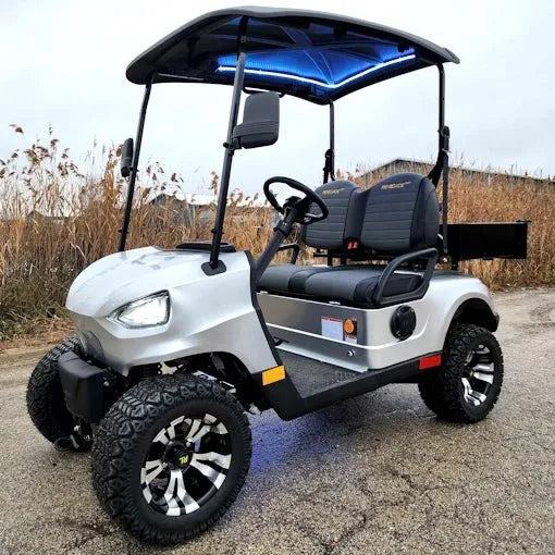 48V Electric Golf Cart 2 Seater Renegade Light Edition Utility Golf UTV W/Utility Box – SILVER image 0