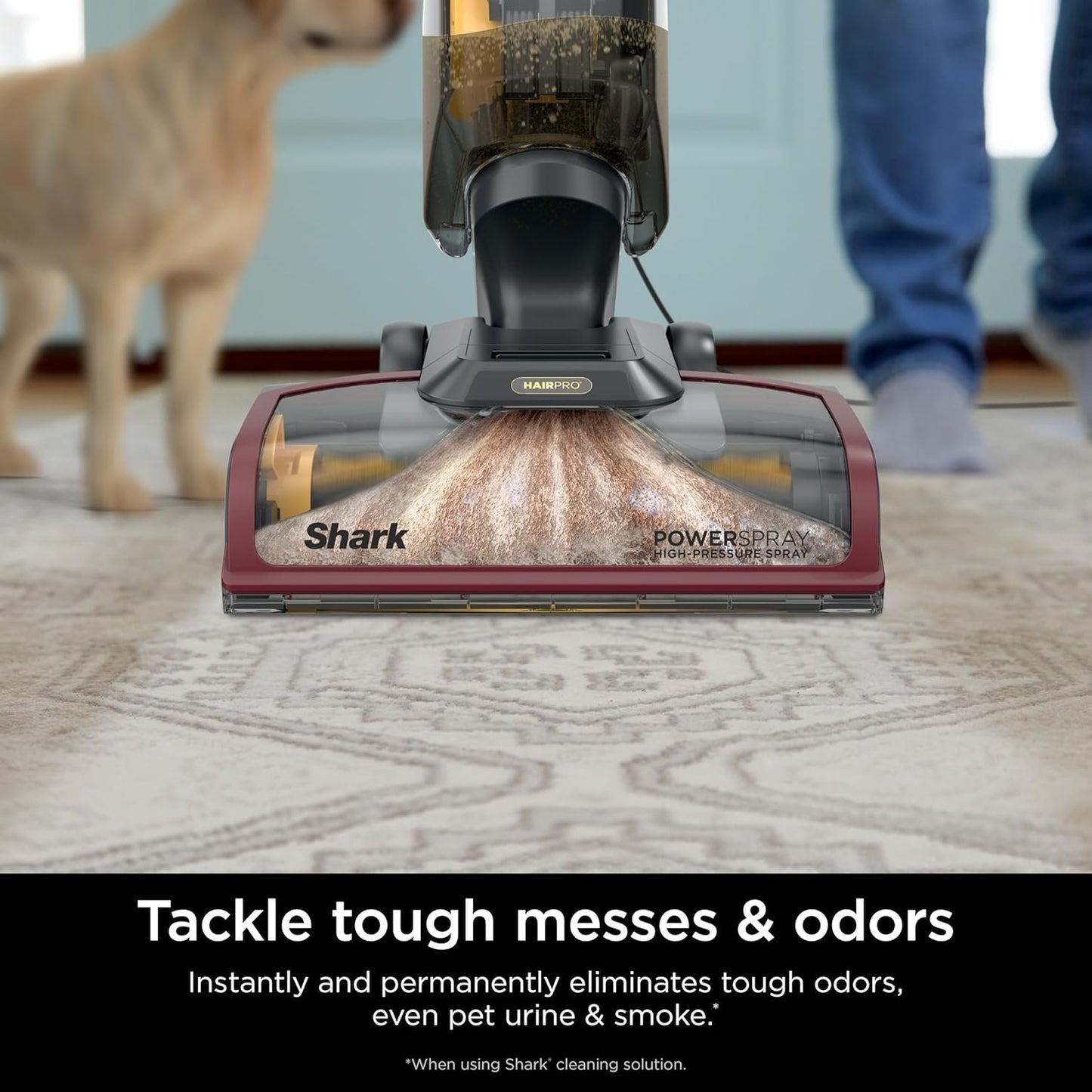 Shark CarpetXpert Carpet & Upholstery Cleaner with StainStriker, EX201 image 25