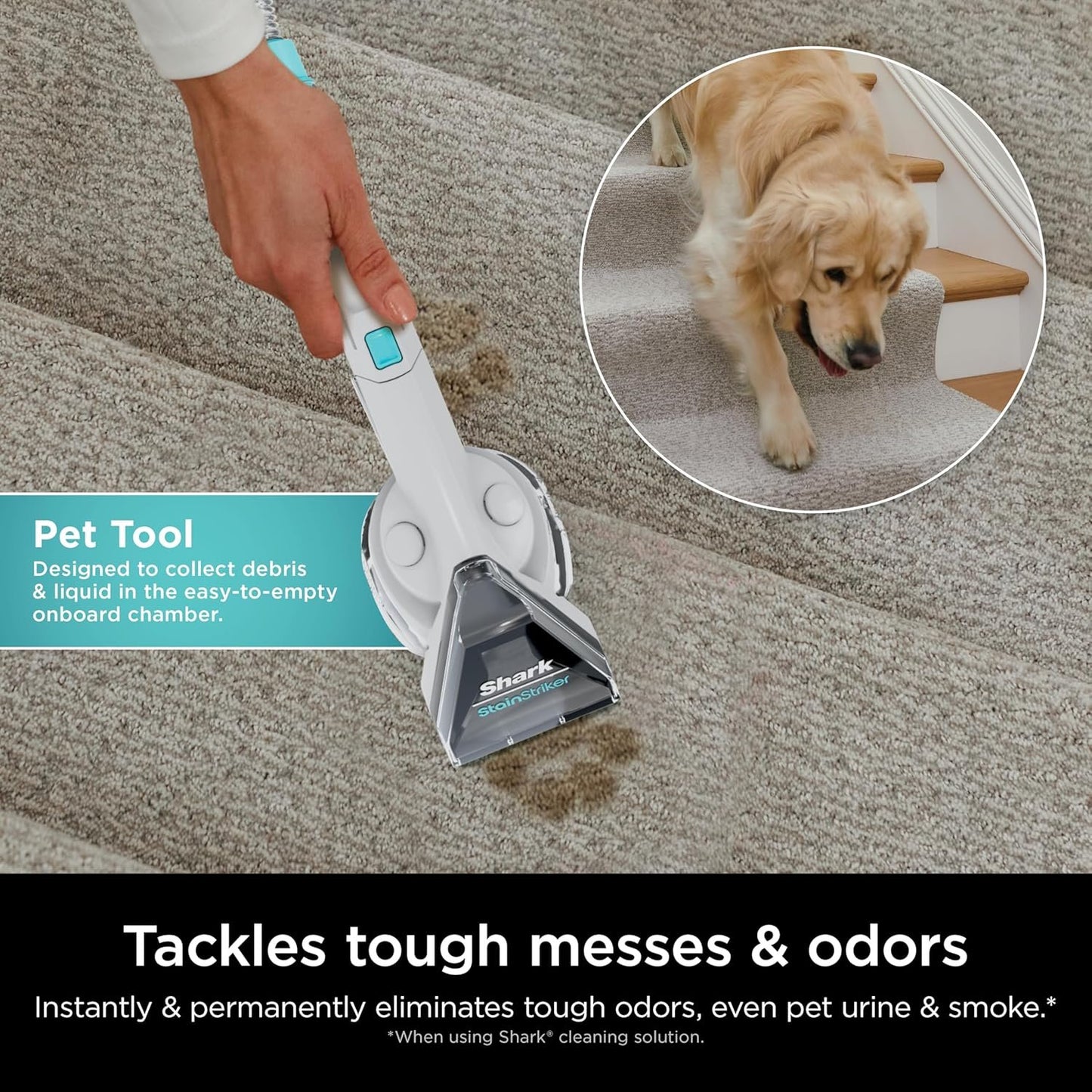 Shark CarpetXpert Carpet & Upholstery Cleaner with StainStriker, EX201 image 33