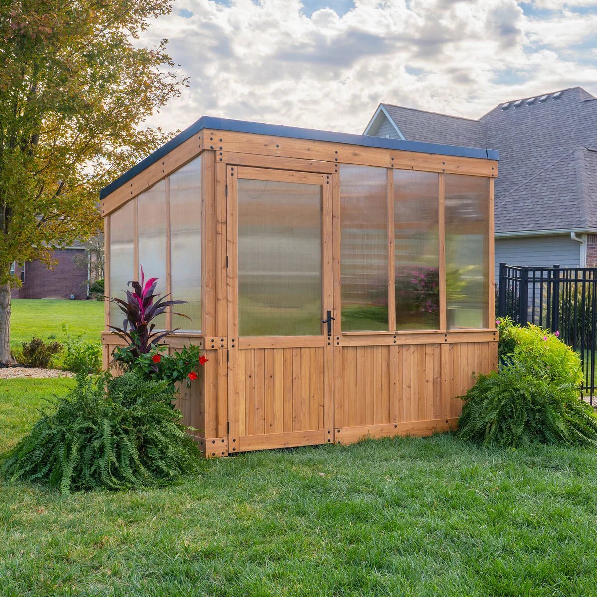 9×6 Willow Greenhouse image 25