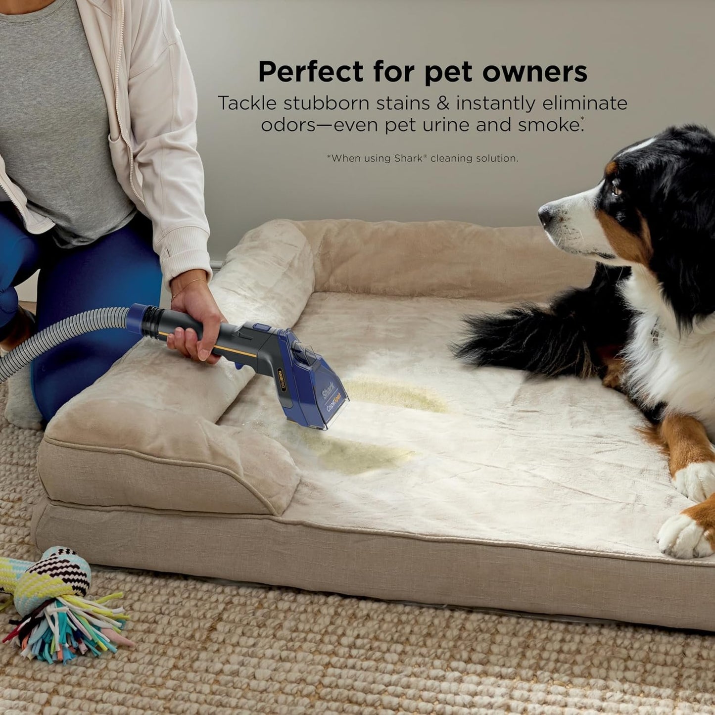 Shark CarpetXpert Carpet & Upholstery Cleaner with StainStriker, EX201 image 18