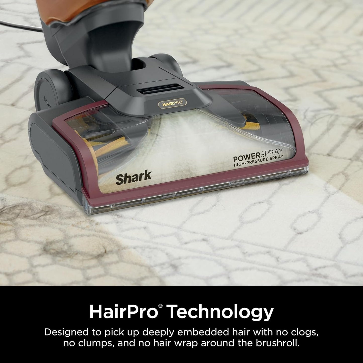 Shark CarpetXpert Carpet & Upholstery Cleaner with StainStriker, EX201 image 23