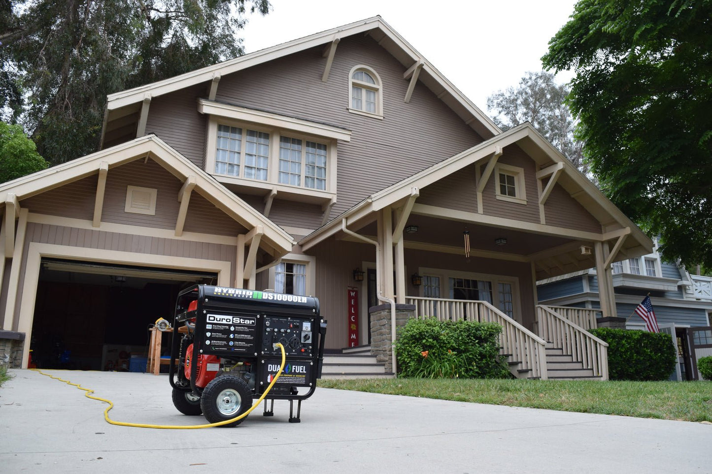 10,000 Watt Dual Fuel Portable Generator image 3