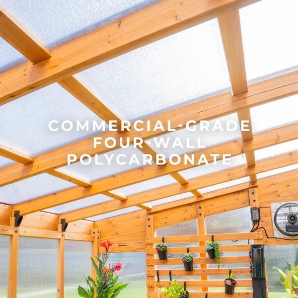 9×6 Willow Greenhouse image 6