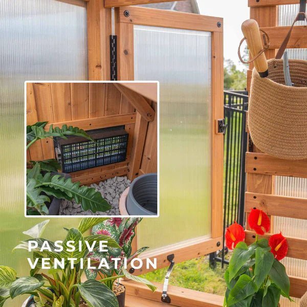 9×6 Willow Greenhouse image 10