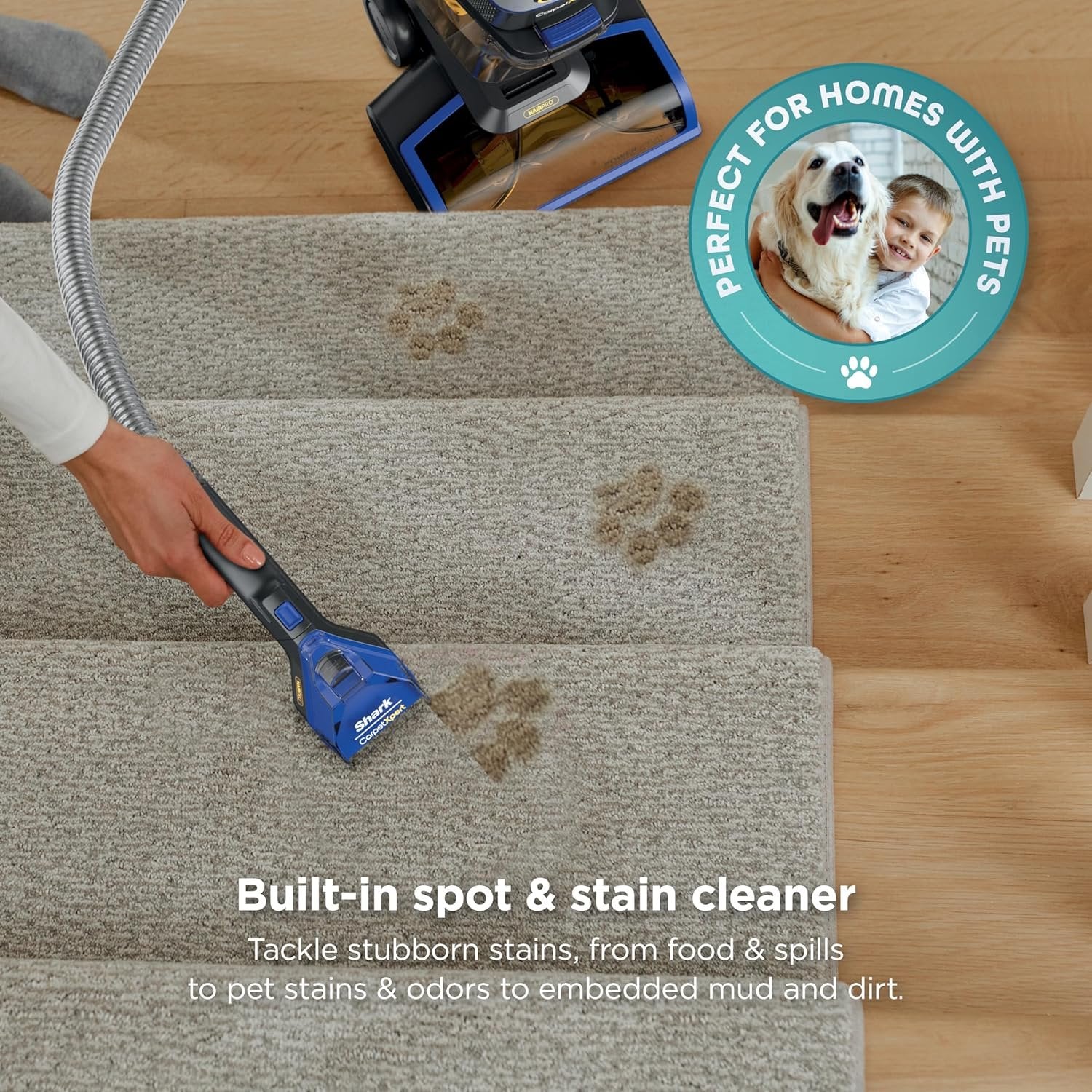 Shark CarpetXpert Carpet & Upholstery Cleaner with StainStriker, EX201 image 16