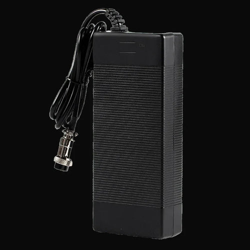Eagle Series Scooters Charger